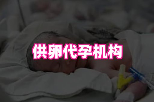 gfg孕网 1