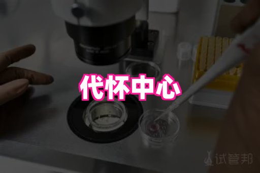 gfg孕网 4